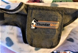 XS Thunder Shirt